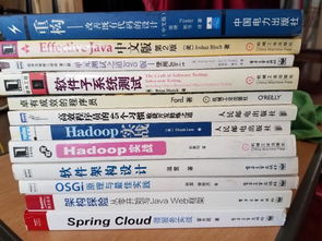 技術(shù)資產(chǎn)的雙重流通 論IT技術(shù)圖書與技術(shù)轉(zhuǎn)讓的協(xié)同價(jià)值