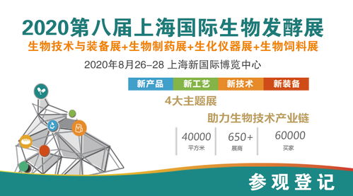 10套化工流程圖、布置圖及設備圖在互聯(lián)網(wǎng)接入及相關服務領域的應用與價值